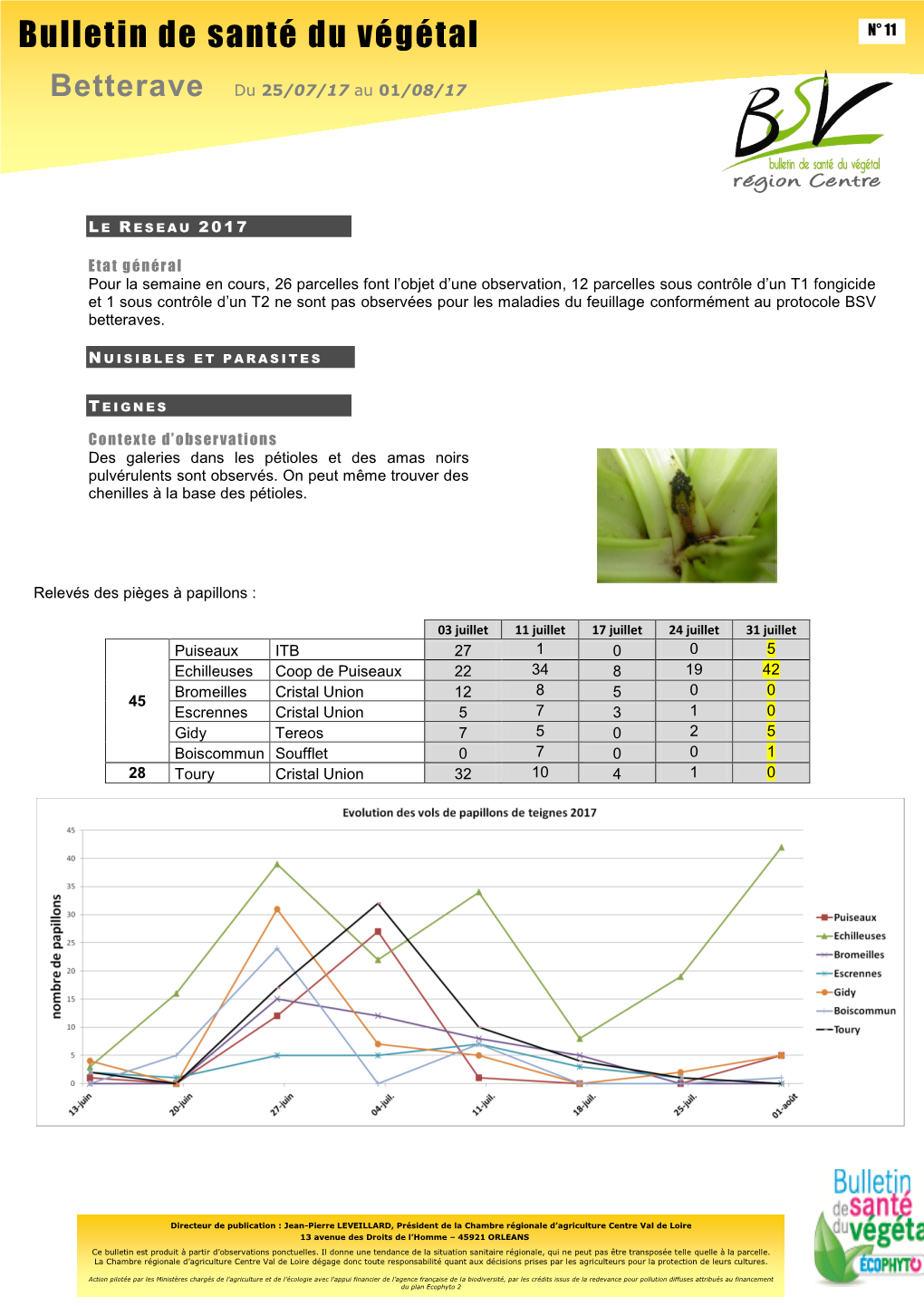 Bulletin De Santé Du Végétal BSV Betterave - N°N° 11 11