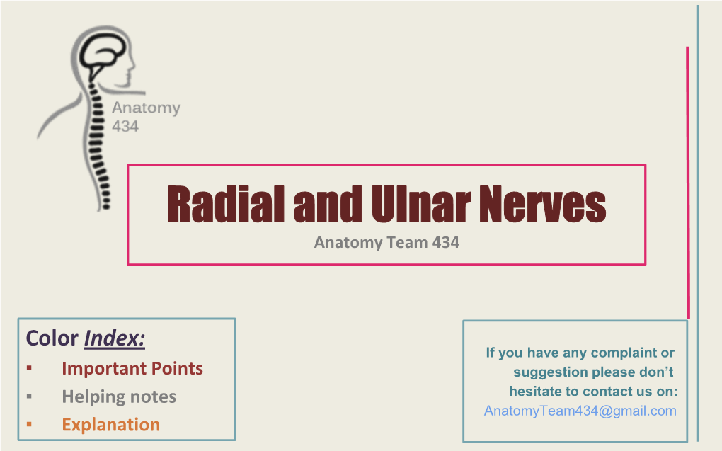 Radial and Ulnar Nerves Anatomy Team 434