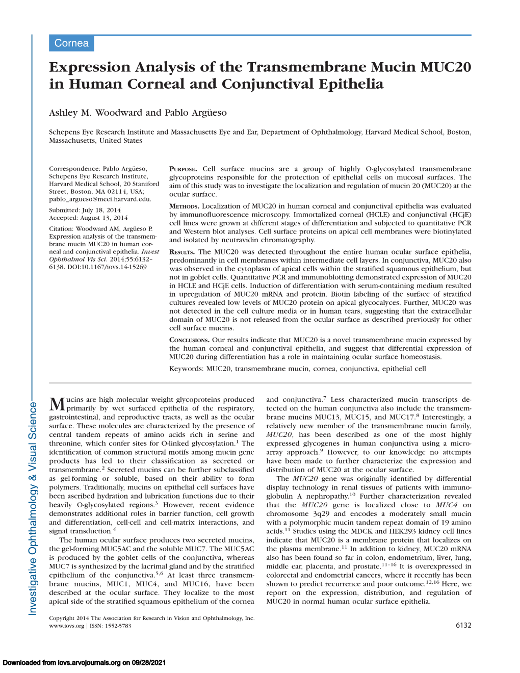 Expression Analysis of the Transmembrane Mucin MUC20 in Human Corneal and Conjunctival Epithelia