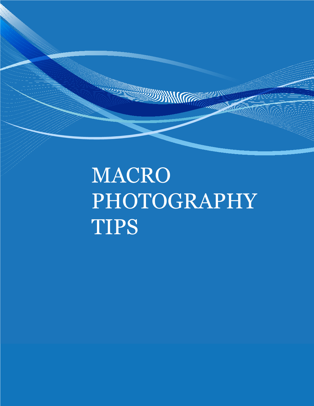 Macro Photography Tips Introduction