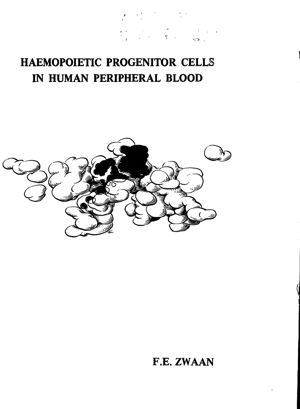 Haemopoietic Progenitor Cells in Human Peripheral Blood