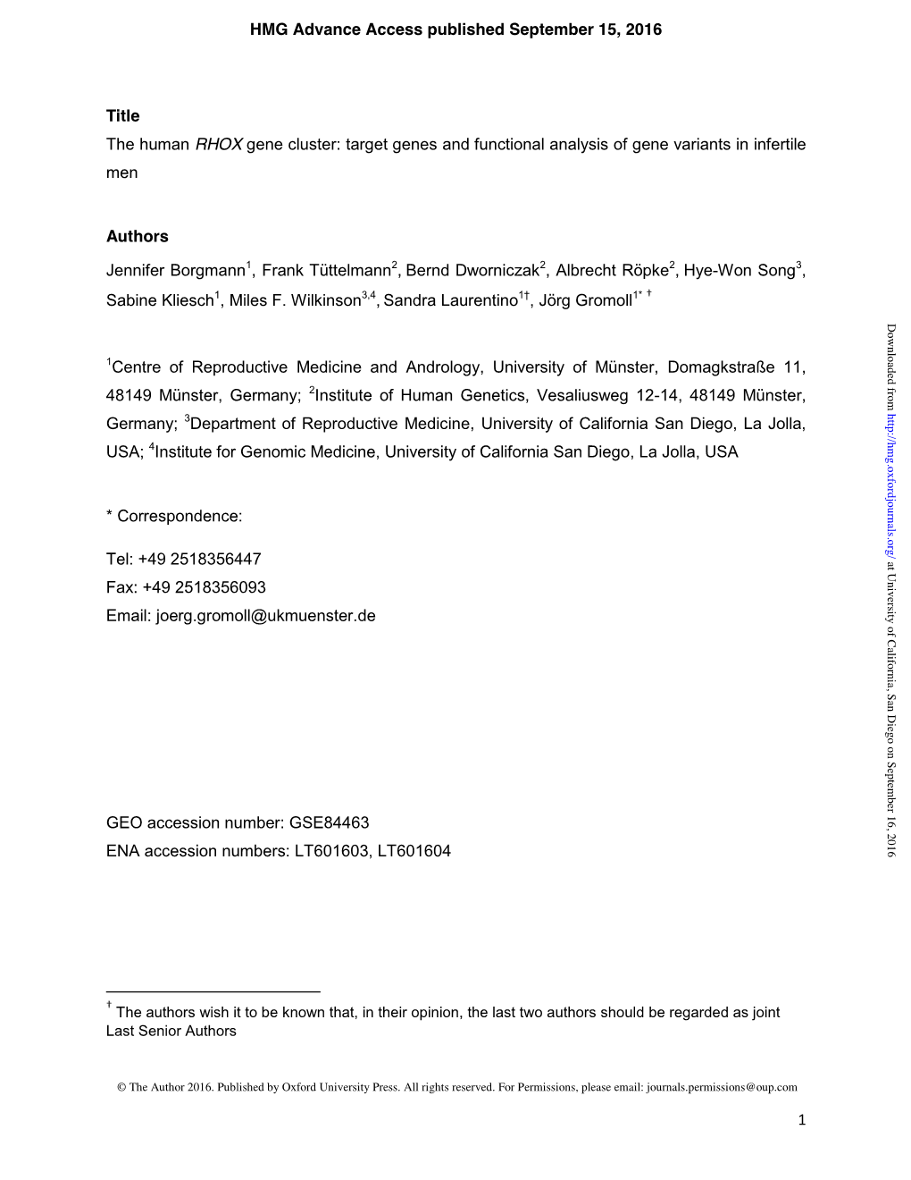 The Human RHOX Gene Cluster: Target Genes and Functional Analysis of Gene Variants in Infertile Men