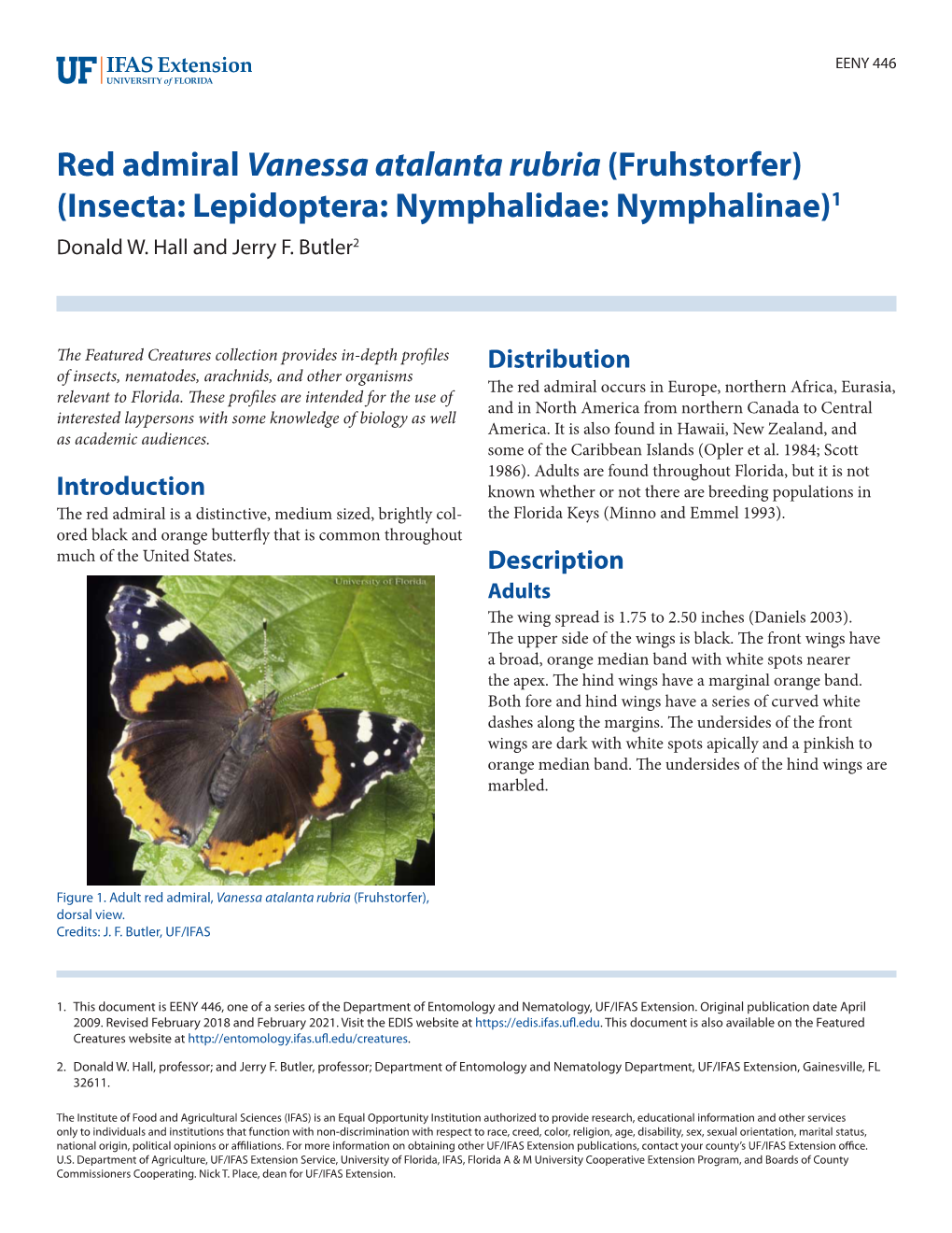 Red Admiral Vanessa Atalanta Rubria (Fruhstorfer) (Insecta: Lepidoptera: Nymphalidae: Nymphalinae)1 Donald W