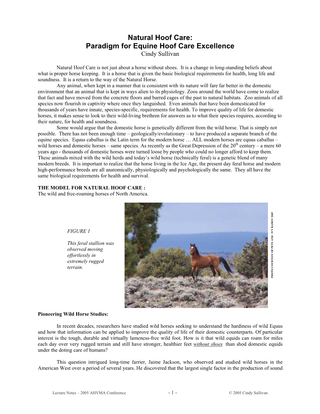 Natural Hoof Care: Paradigm for Equine Hoof Care Excellence Cindy Sullivan