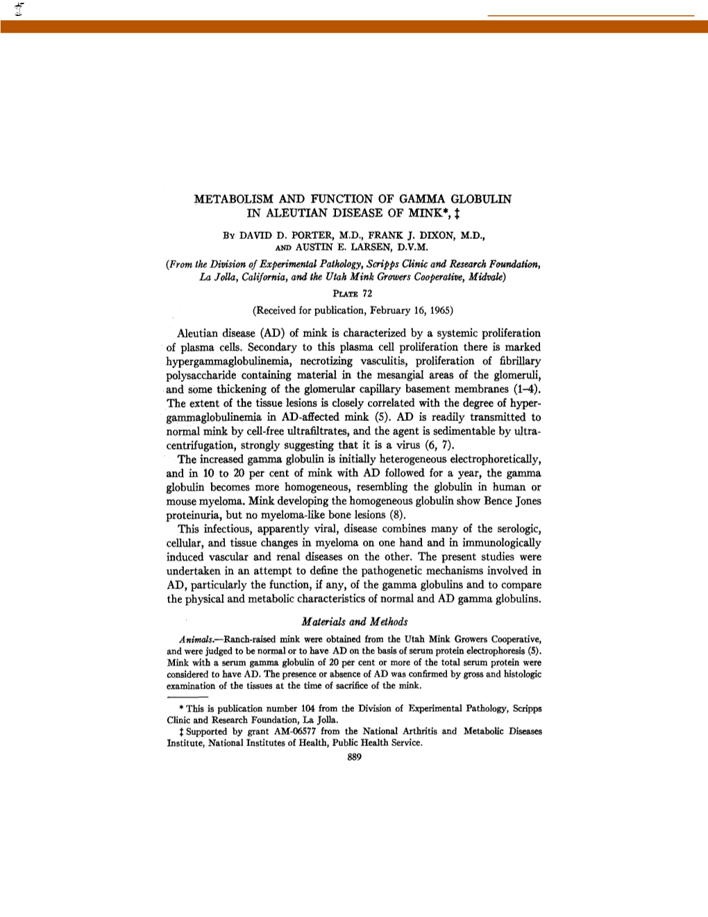 Metabolism and Function of Gamma Globulin in Aleutian Disease of Mink*