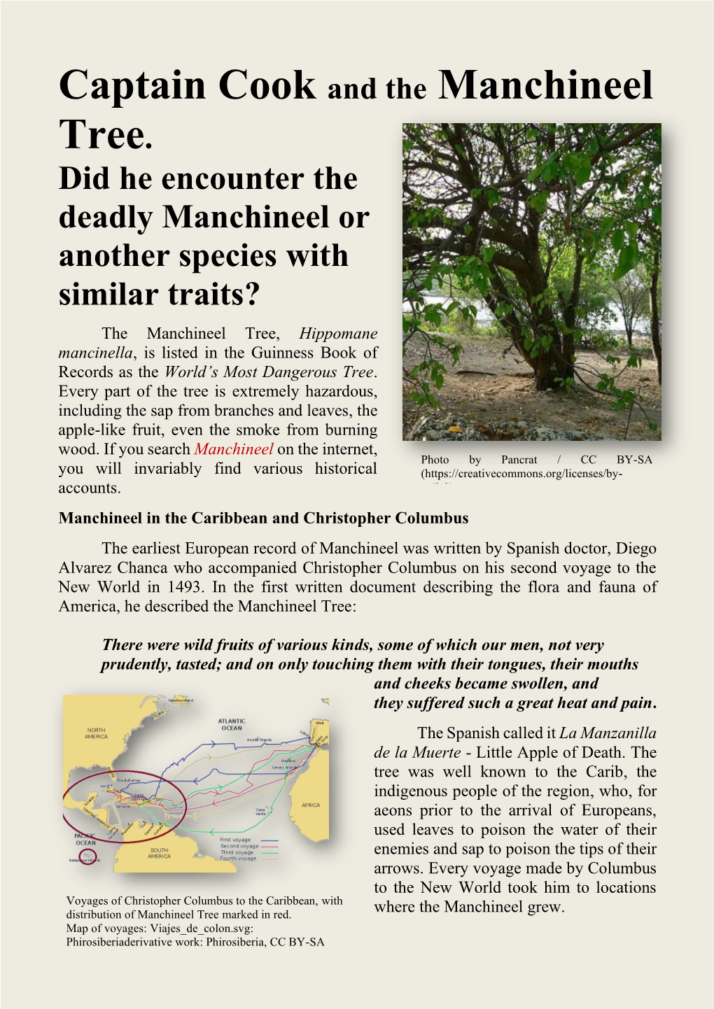 Captain Cook and the Manchineel Tree. Did He Encounter the Deadly Manchineel Or Another Species with Similar Traits?