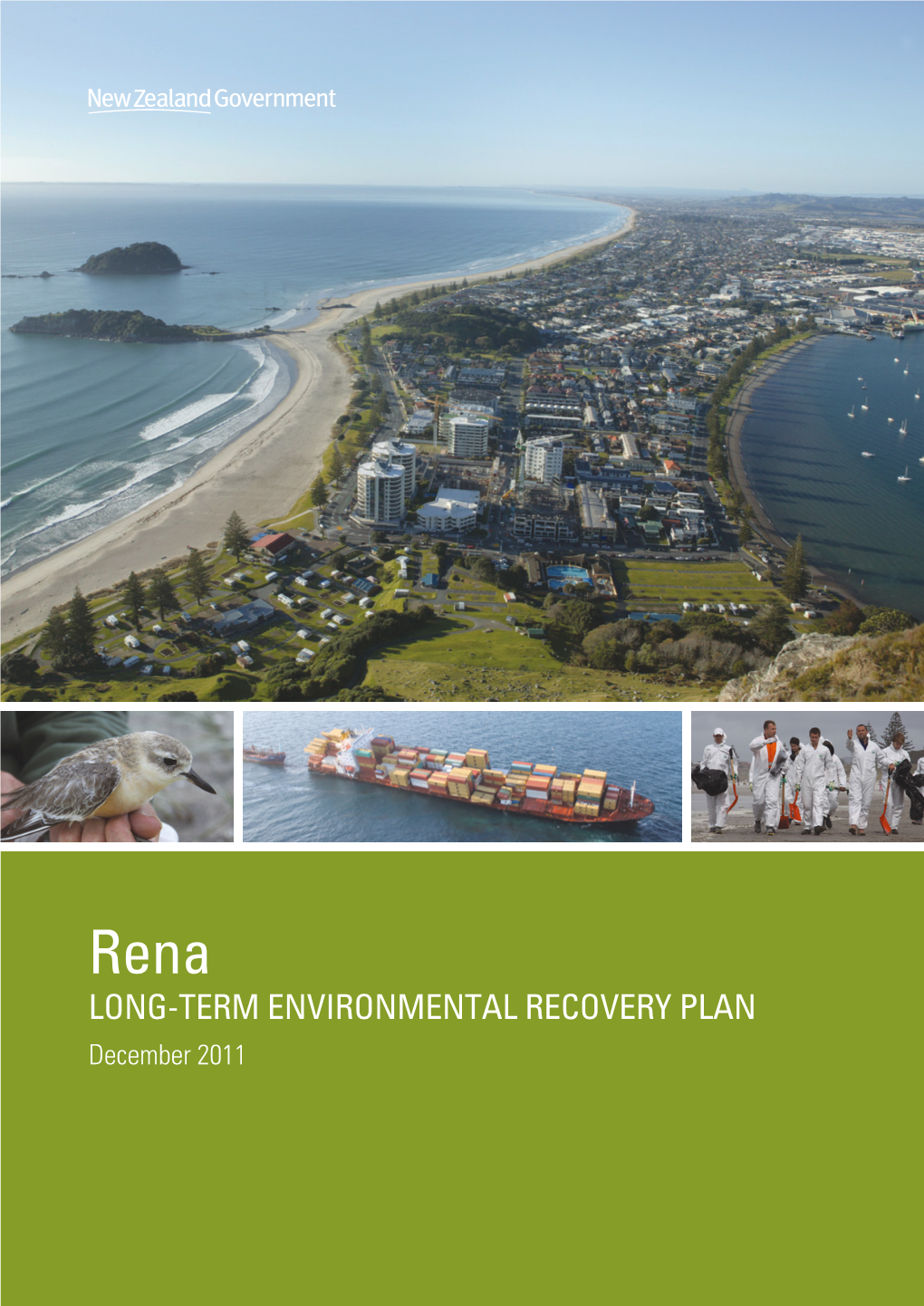 Rena: Long-Term Environmental Recovery Plan