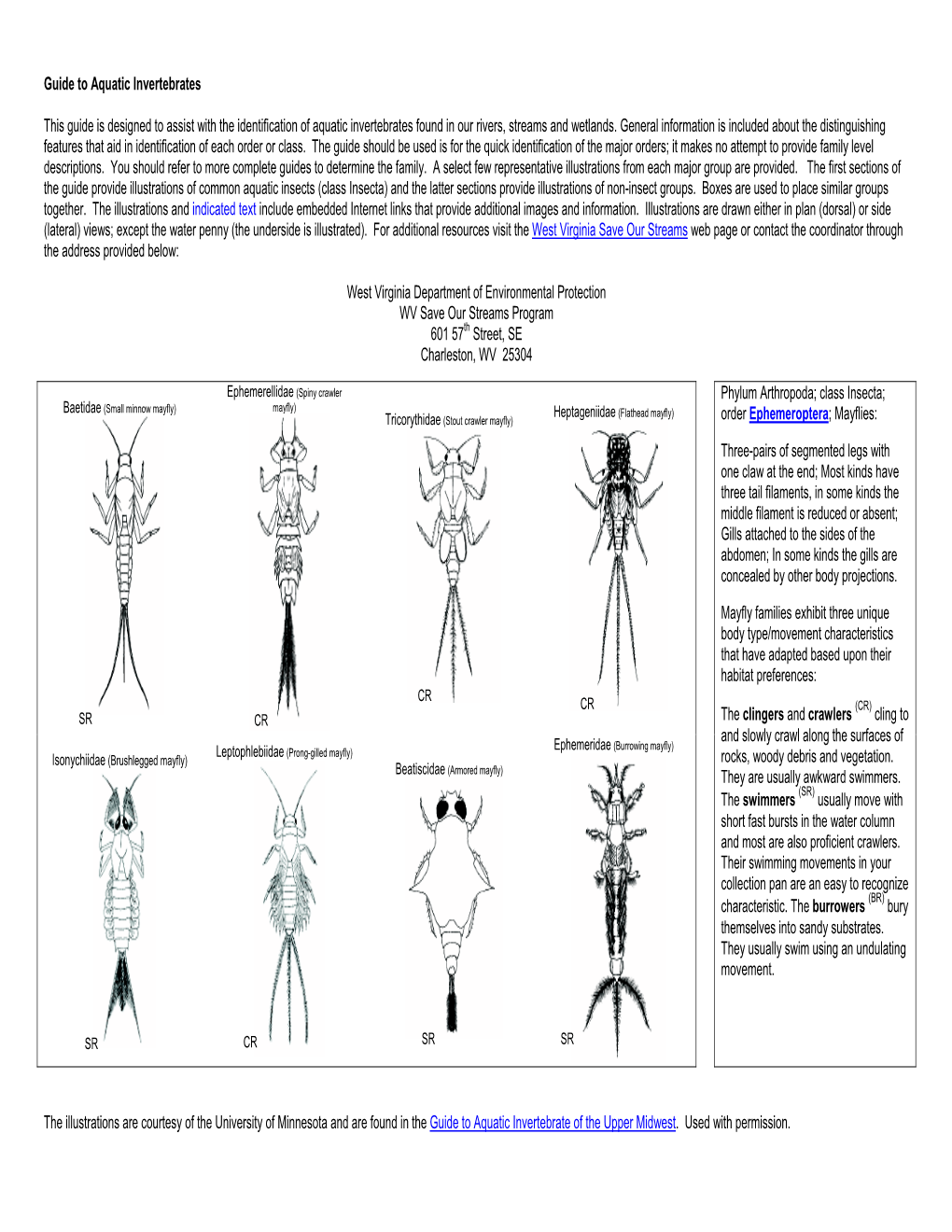 Guide to Aquatic Invertebrates