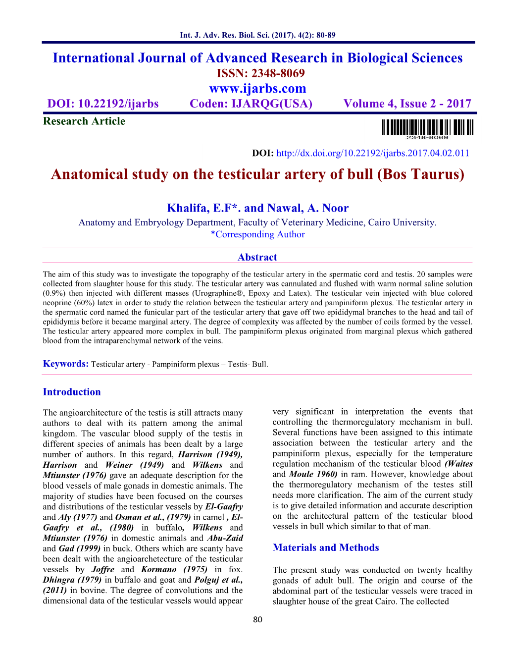 Anatomical Study on the Testicular Artery of Bull (Bos Taurus)