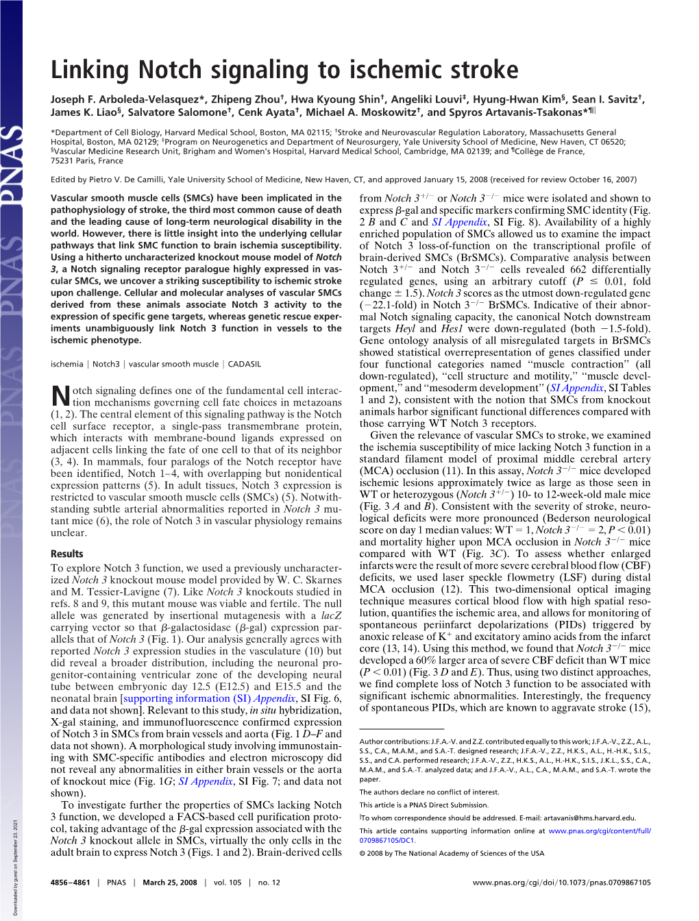 Linking Notch Signaling to Ischemic Stroke