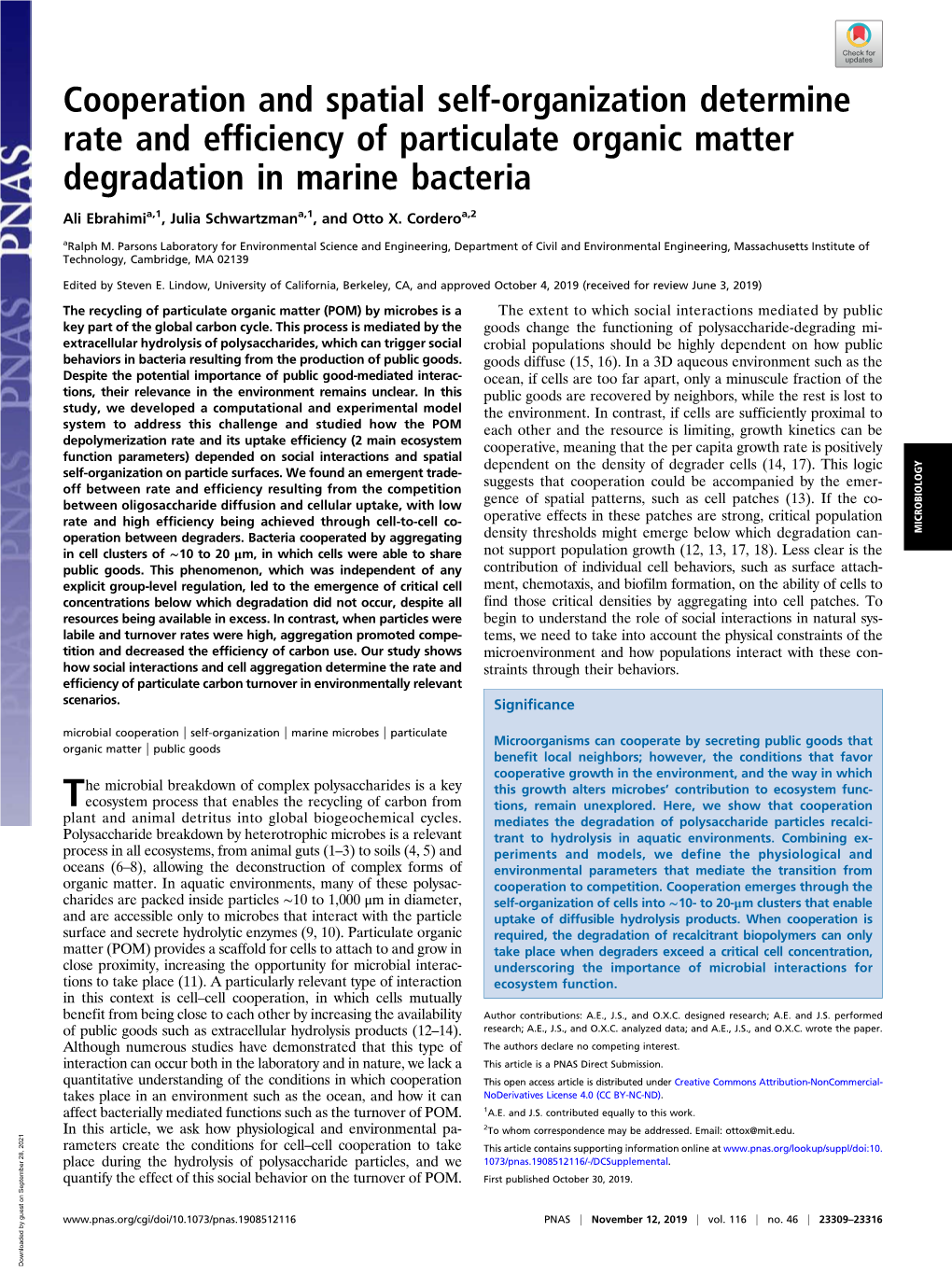 Cooperation and Spatial Self-Organization Determine Rate and Efficiency of Particulate Organic Matter Degradation in Marine Bacteria