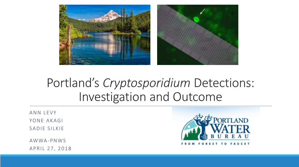 Cryptosporidium Detections: Investigation and Outcome