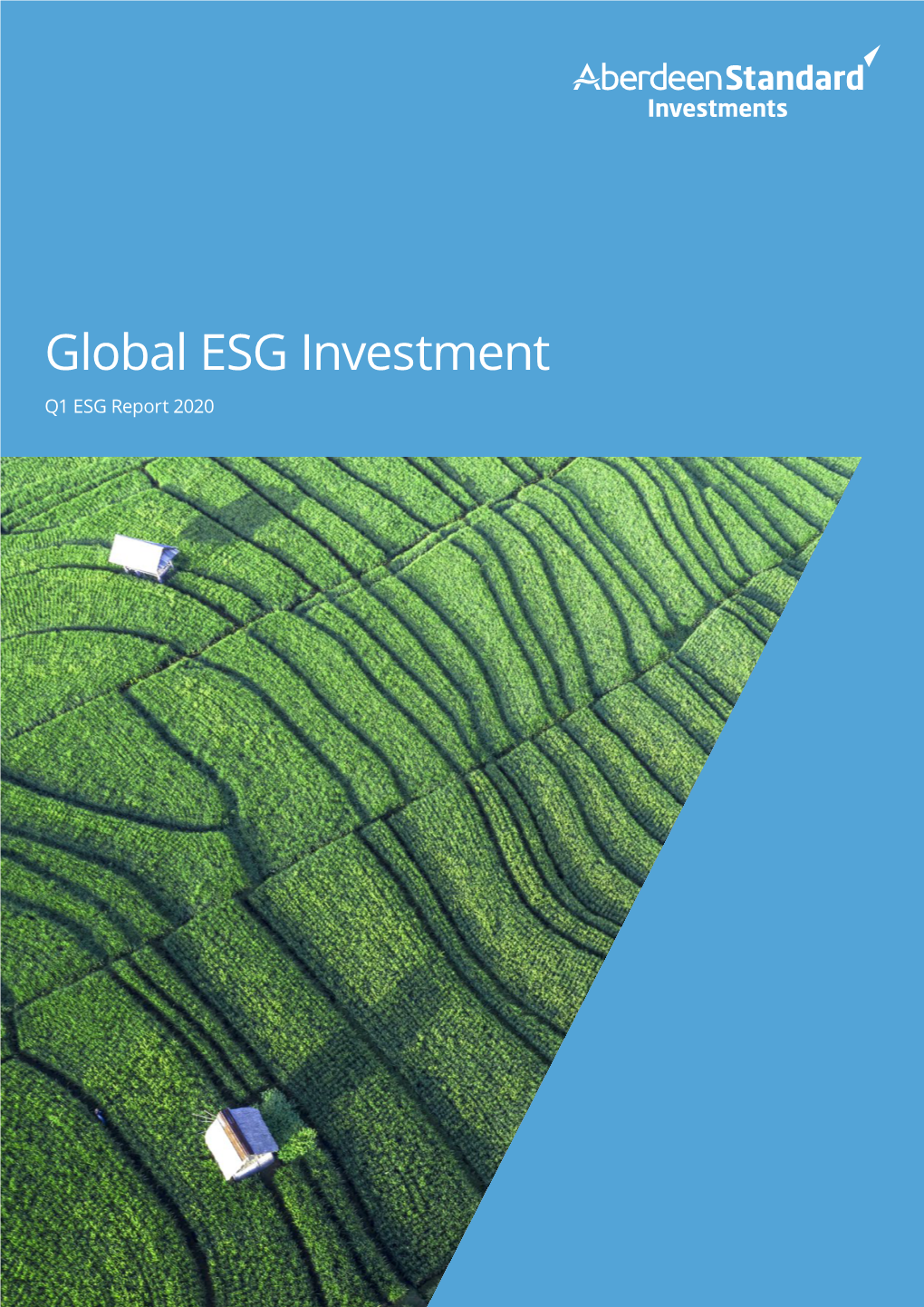 Global ESG Investment Q1 ESG Report 2020 02 Global ESG Report