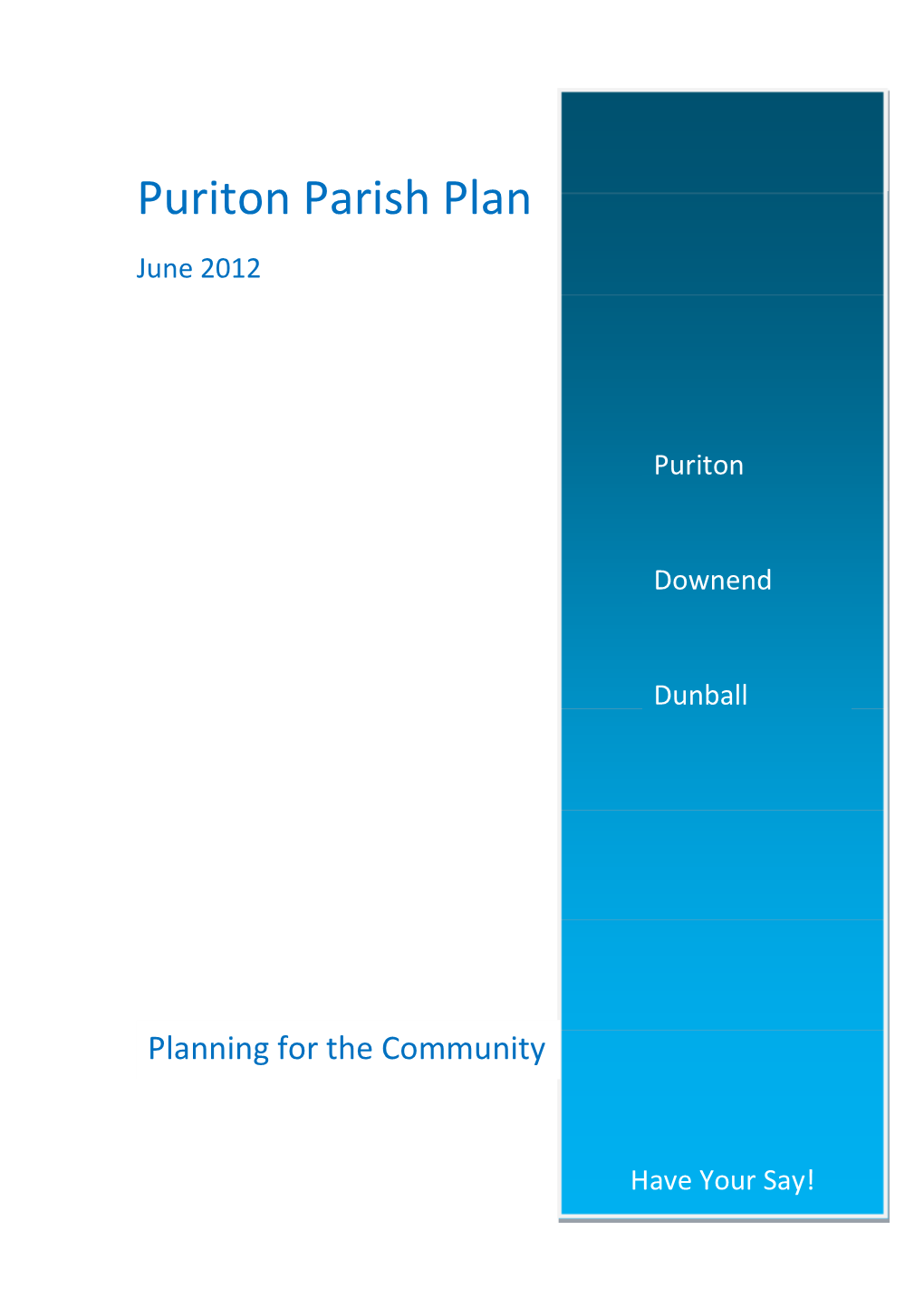 Puriton Parish Plan