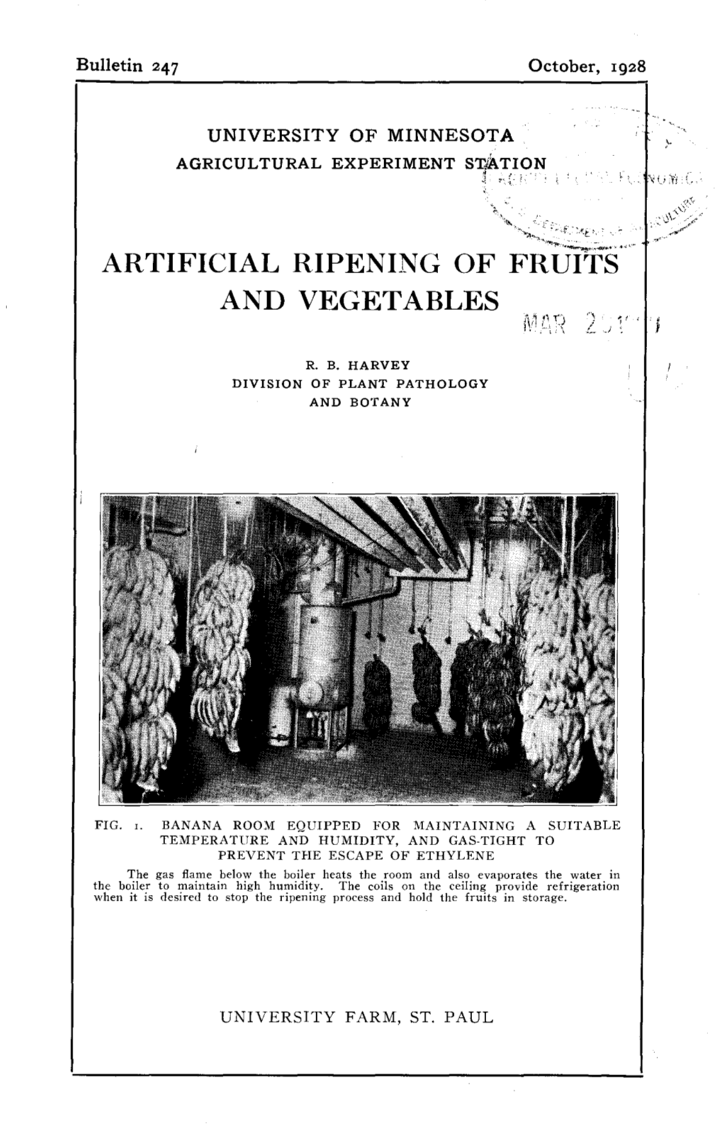 ARTIFICIAL RIPENING of FRUITS and VEGETABLES L