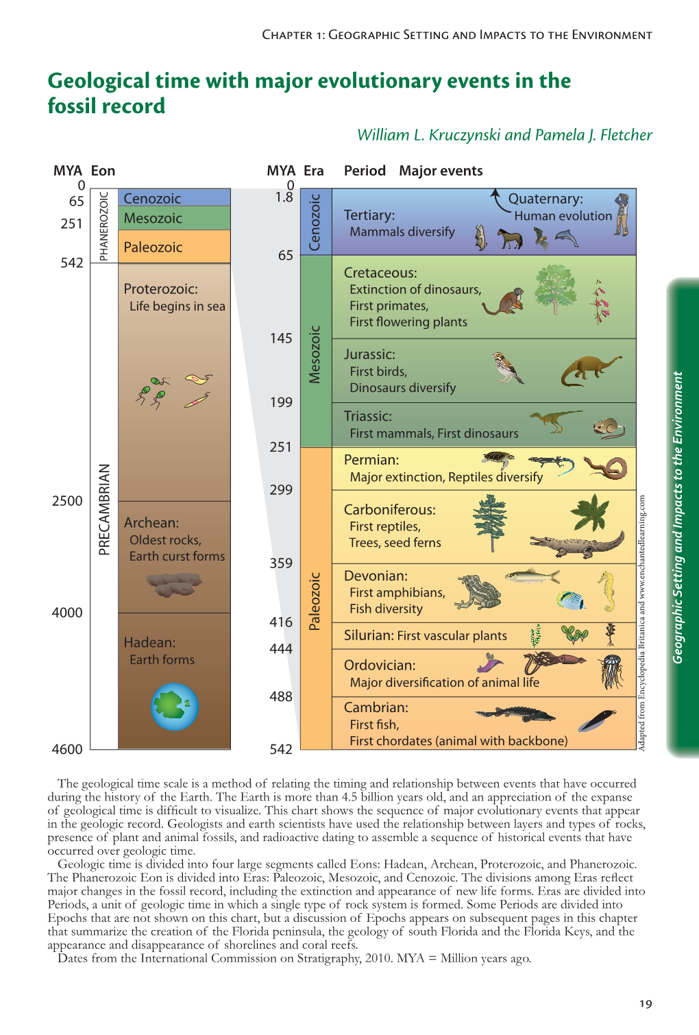 Geological Time with Major Evolutionary Events in the Fossil Record William L