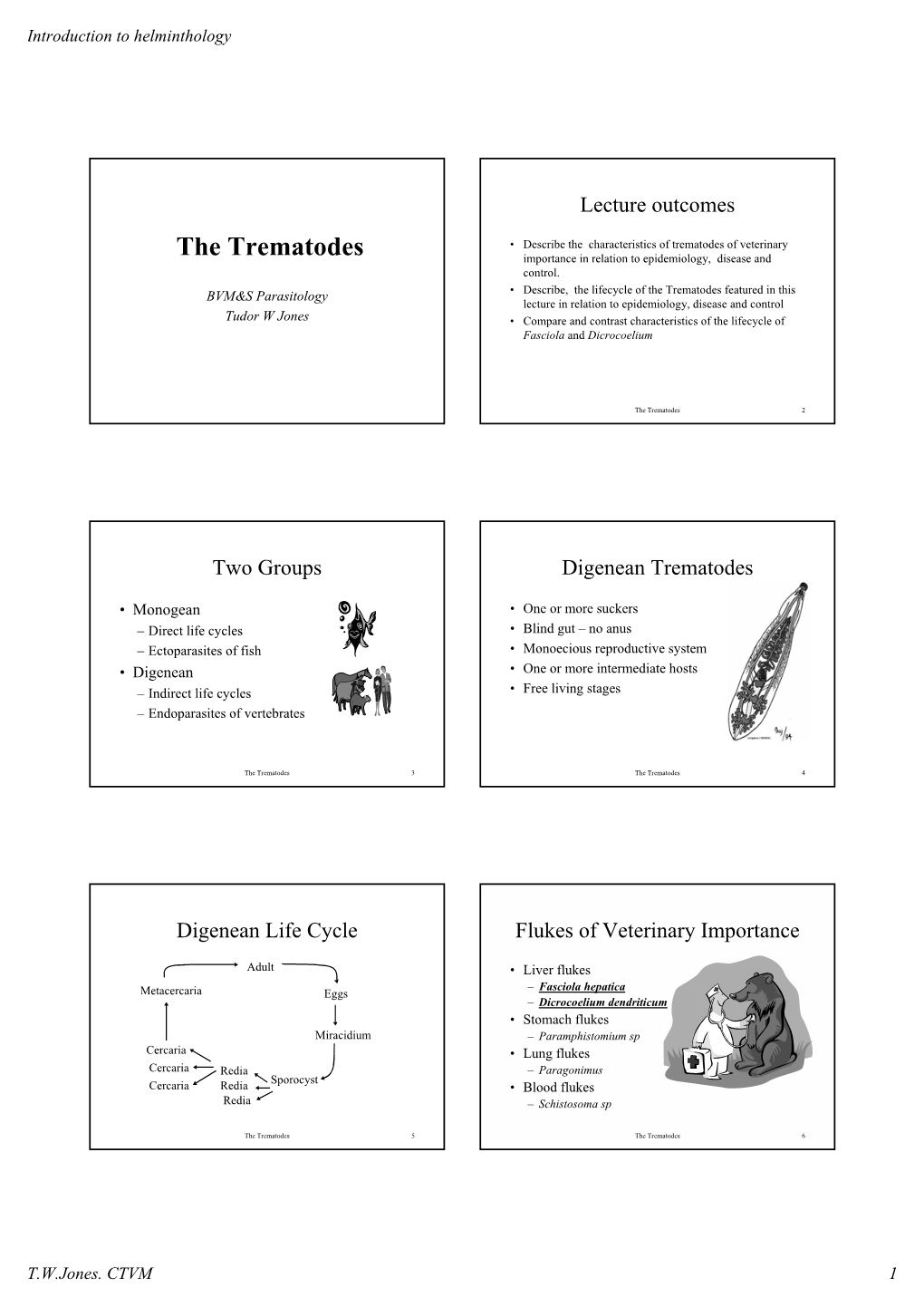 The Trematodes Importance in Relation to Epidemiology, Disease and Control