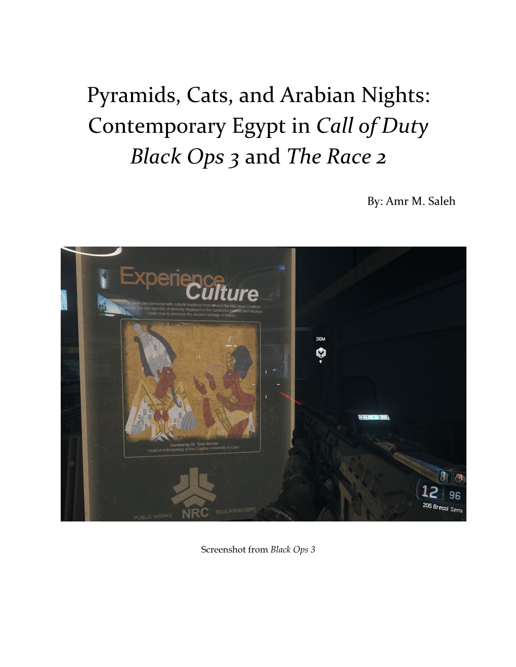 Contemporary Egypt in Call of Duty Black Ops 3 and the Race 2