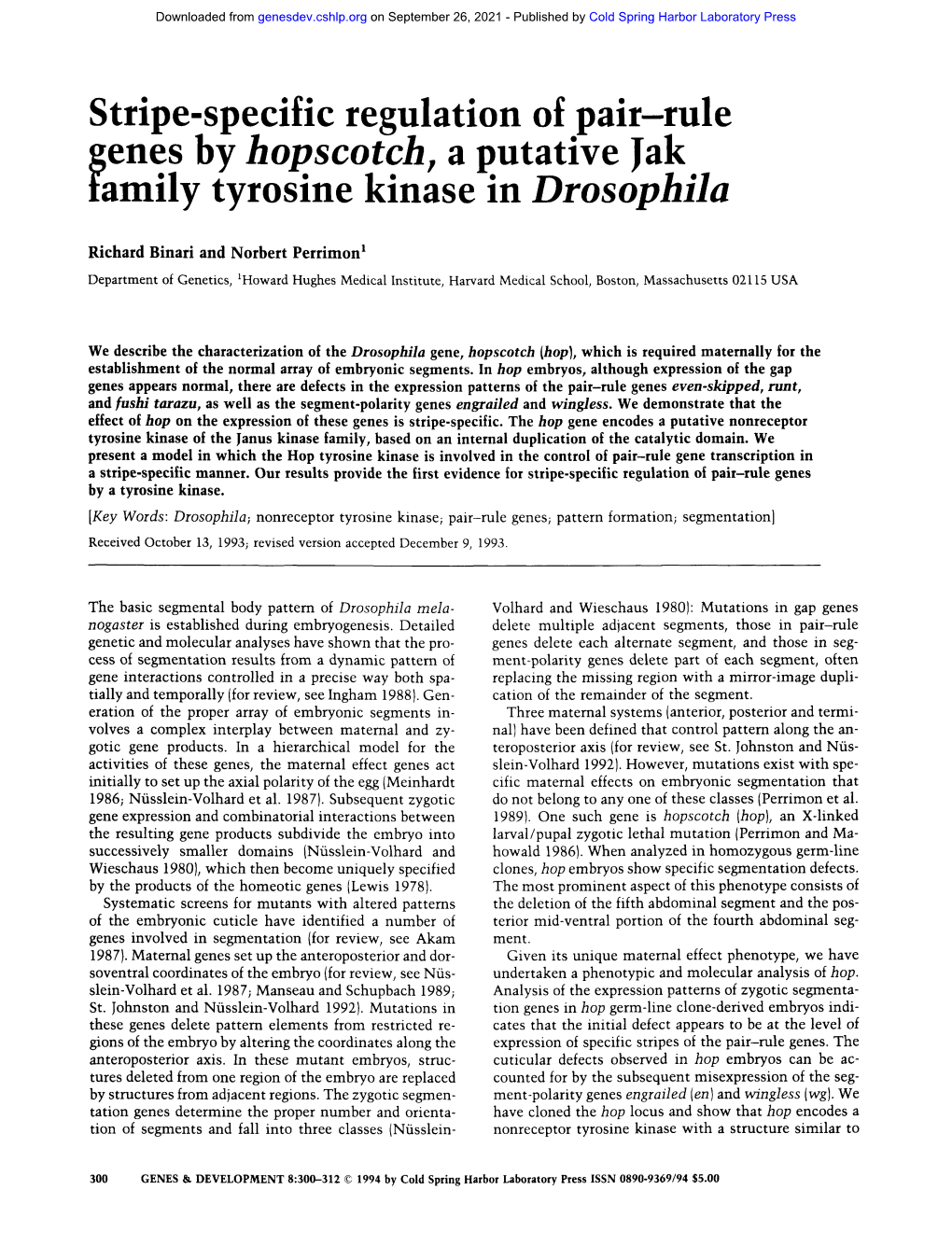 Stripe-Specific Regulation of Pair-Rule ;Enes by Hopscotch, a Putative Jak Amily Tyrosine Kinase in Drosophila