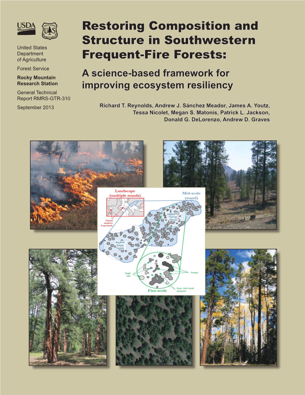 Restoring Composition and Structure in Southwestern Frequent-Fire Forests: a Science-Based Framework for Improving Ecosystem Resiliency