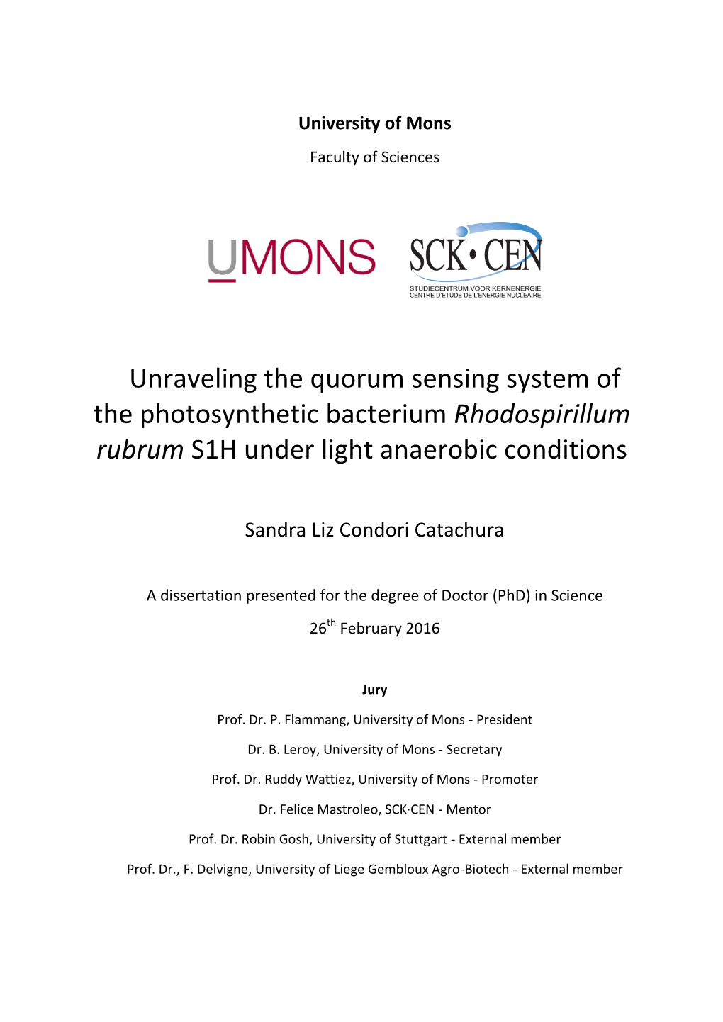 Unraveling the Quorum Sensing System of the Photosynthetic Bacterium Rhodospirillum Rubrum S1H Under Light Anaerobic Conditions