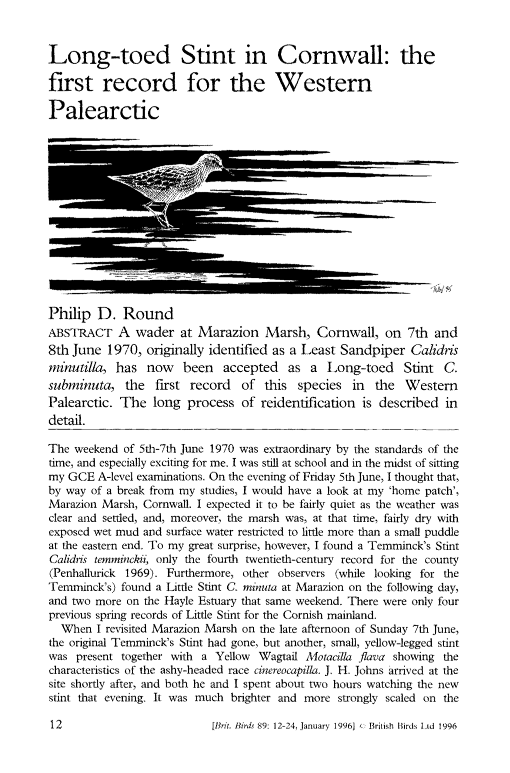 Long-Toed Stint in Cornwall: the First Record for the Western Palearctic