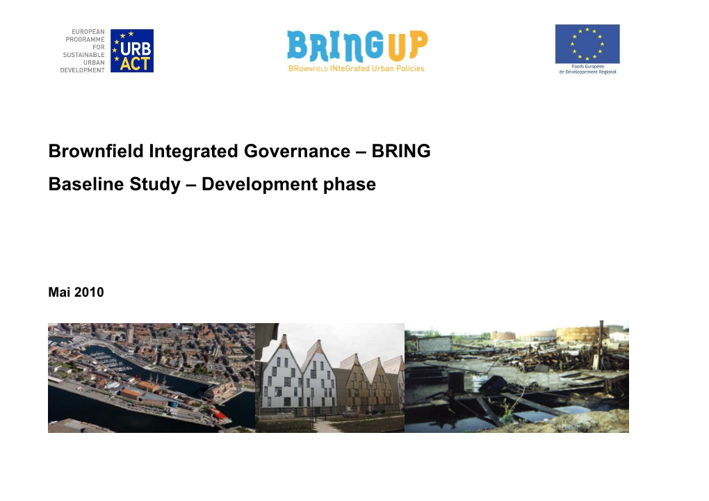 Brownfield Integrated Governance – BRING Baseline Study – Development Phase