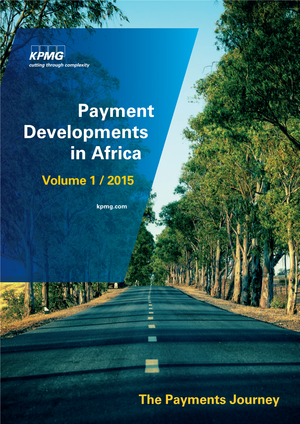 Payment Developments in Africa Volume 1 / 2015