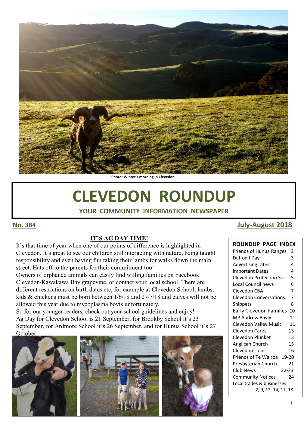 Clevedon Roundup