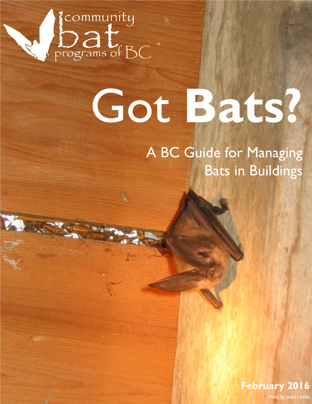 Got Bats? a BC Guide for Managing Bats in Buildings