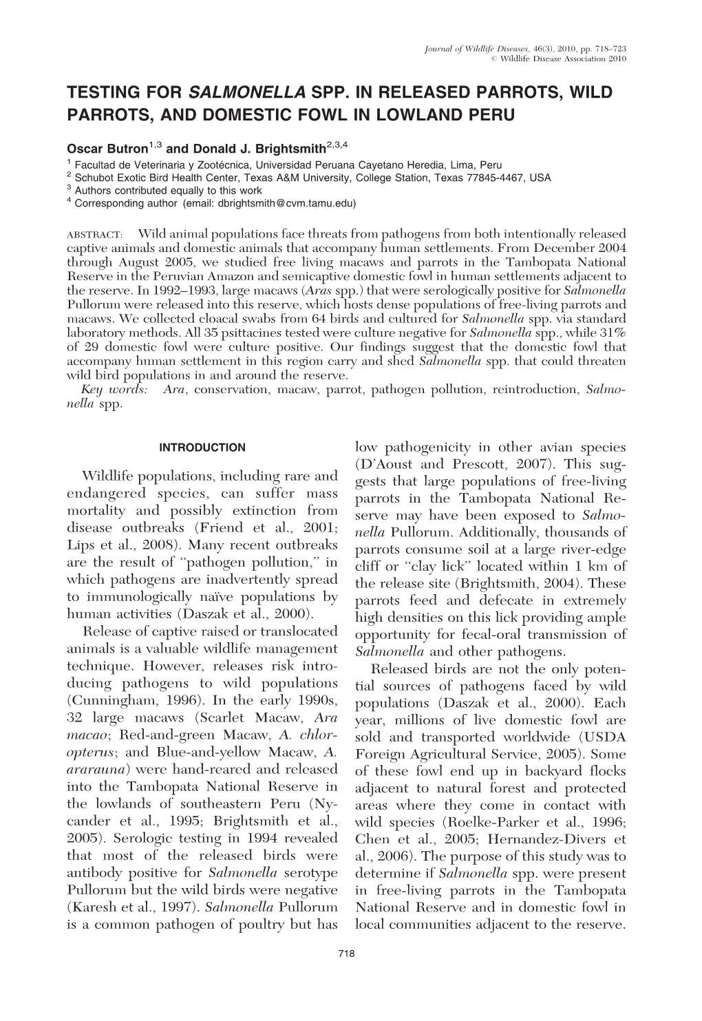 Testing for Salmonella Spp. in Released Parrots, Wild Parrots, and Domestic Fowl in Lowland Peru