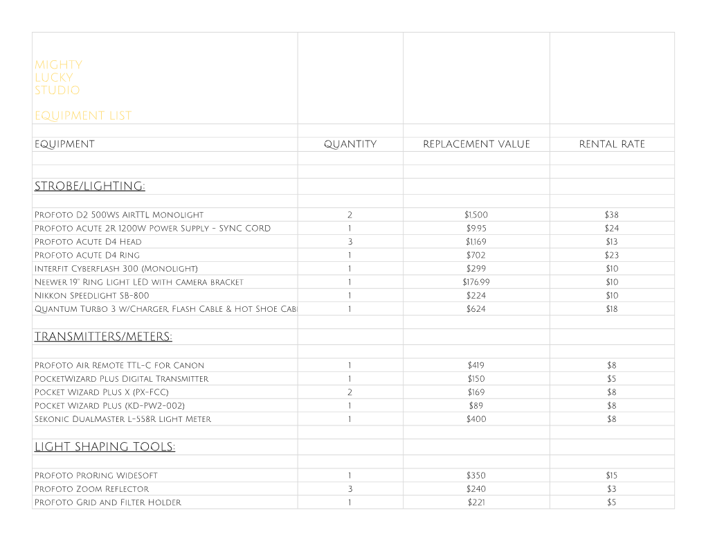 Mighty Lucky Studio Equipment List Strobe