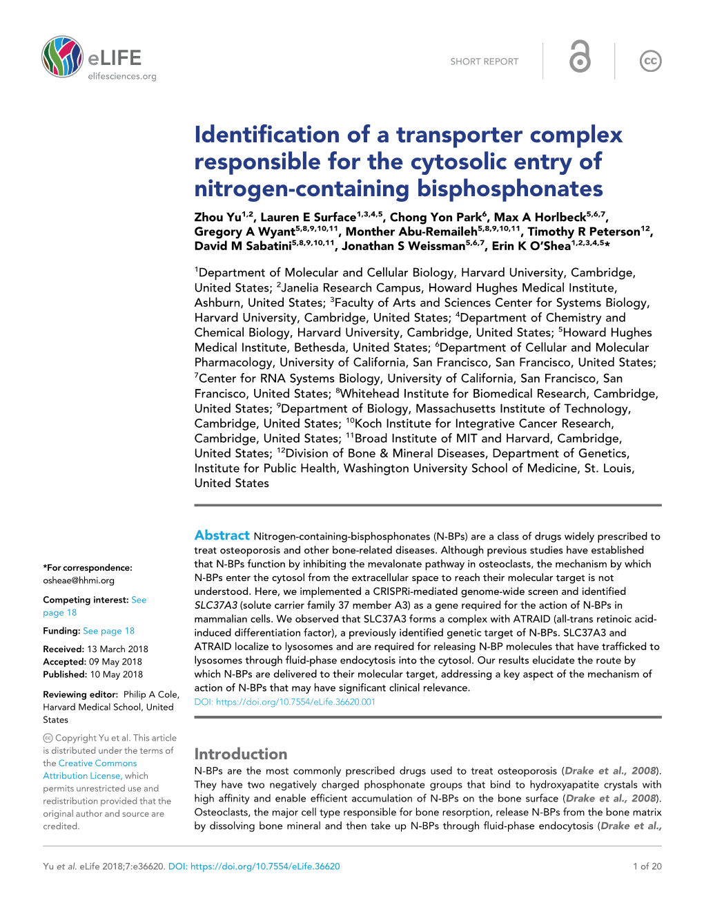 Identification of a Transporter Complex Responsible for the Cytosolic Entry Of