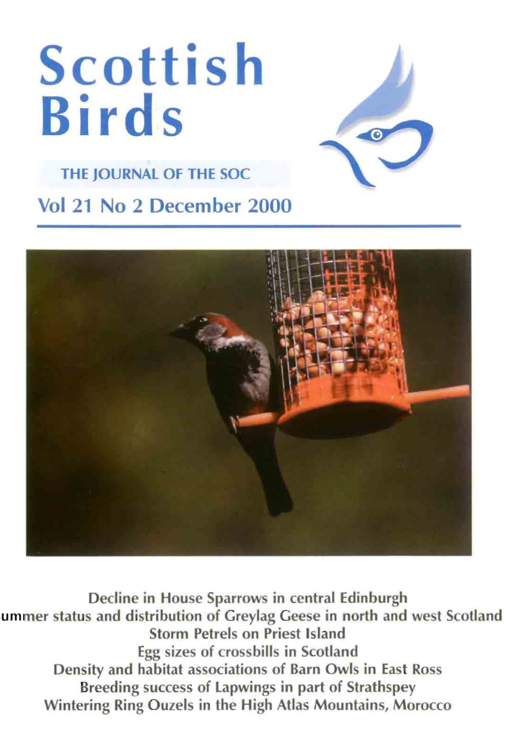 Scottish Birds