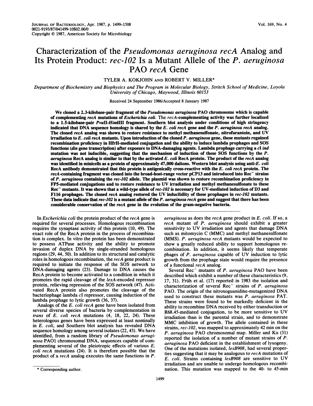 Characterization of the Pseudomonas Aeruginosa Reca Analog and Its Protein Product: Rec-102 Is a Mutant Allele of the P