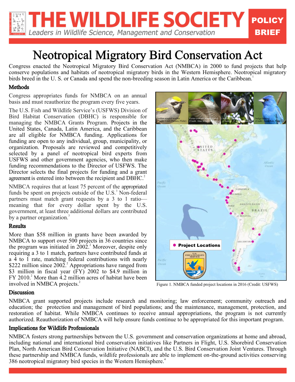 Neotropical Migratory Bird Conservation