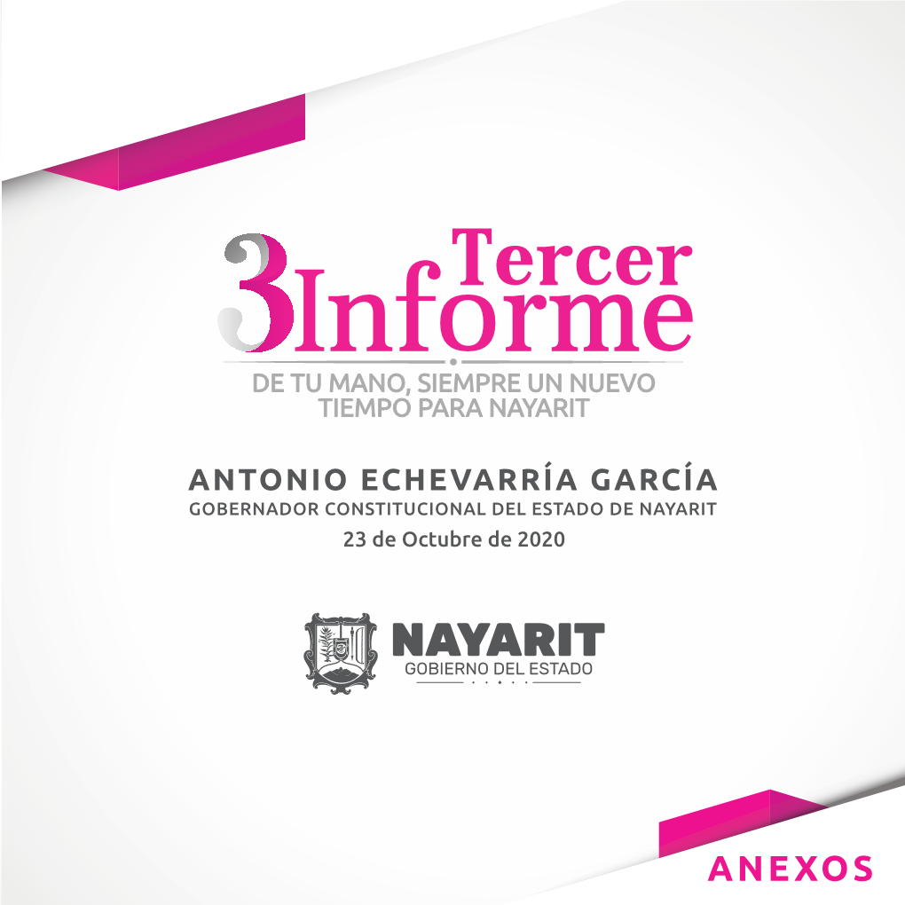 Anexos Gobierno Eficiente Y Seguridad Ciudadana 1 Productividad Y Empleo 9 Gestión Social Integral 23