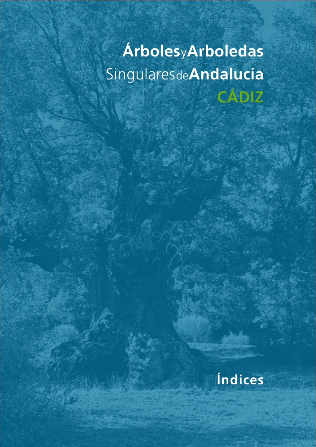 Árbolesyarboledas Singularesdeandalucía CÁDIZ