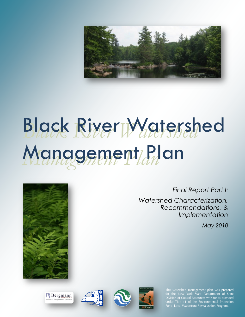 Black River Watershed Management Plan