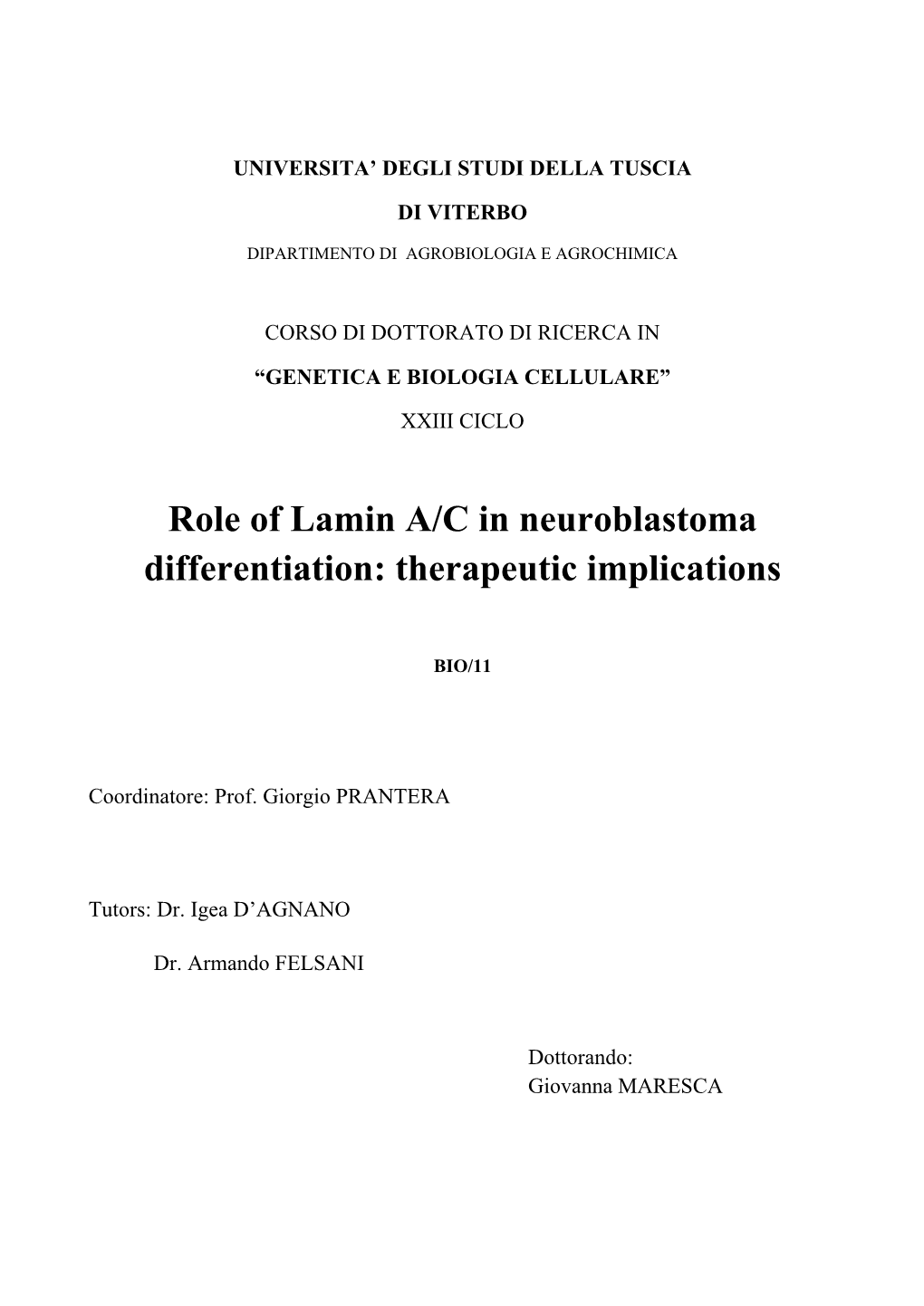 Role of Lamin A/C in Neuroblastoma Differentiation: Therapeutic Implications