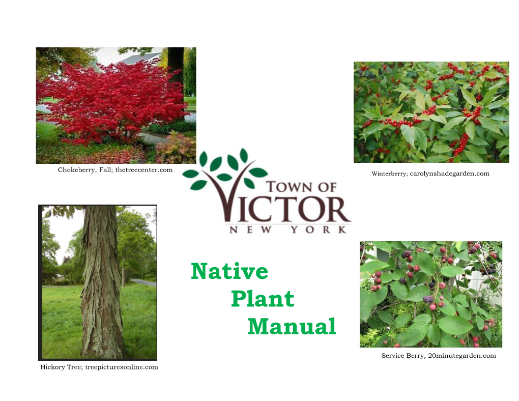 Native Plant Manual Photos from Online Resources, CB Files