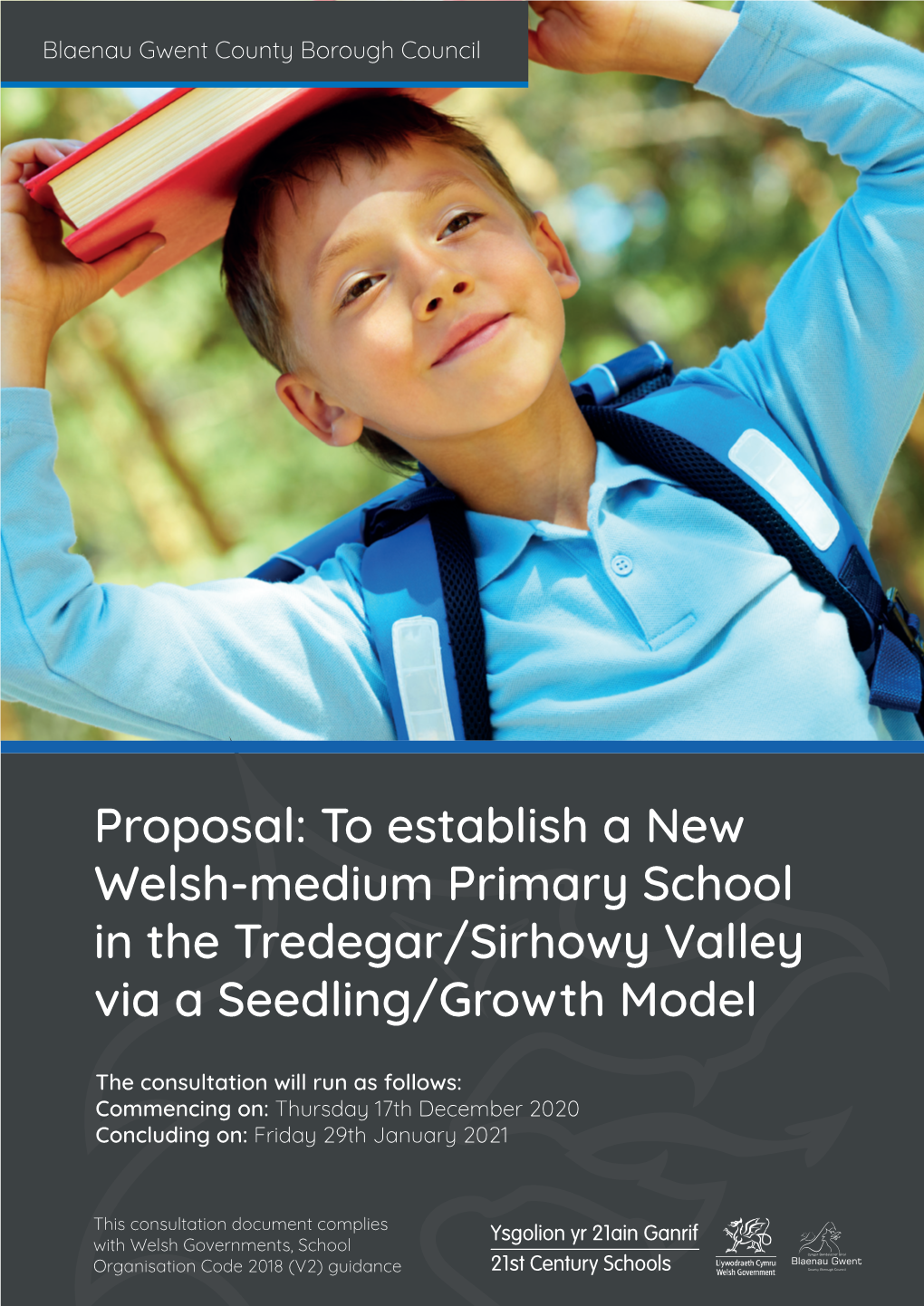 To Establish a New Welsh-Medium Primary School in the Tredegar/Sirhowy Valley Via a Seedling/Growth Model