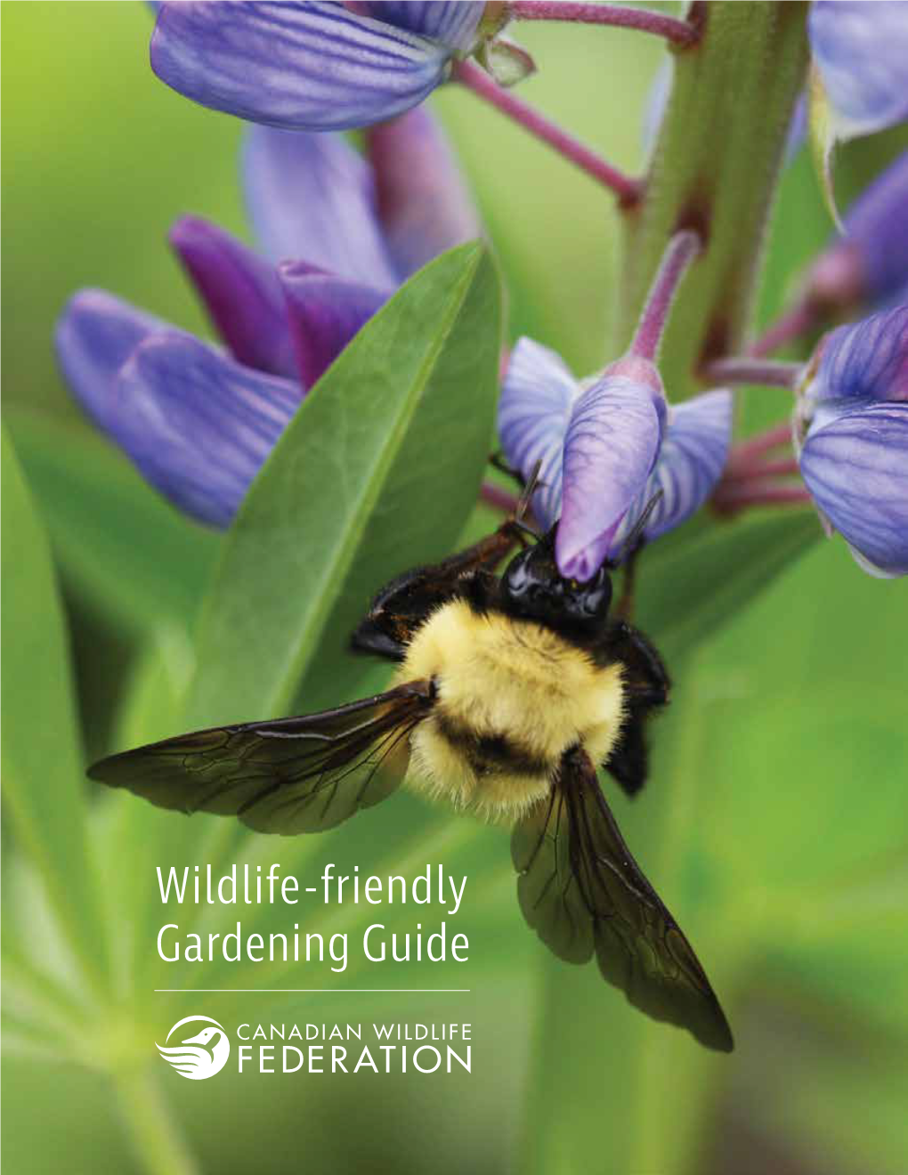 Wildlife-Friendly Gardening Guide