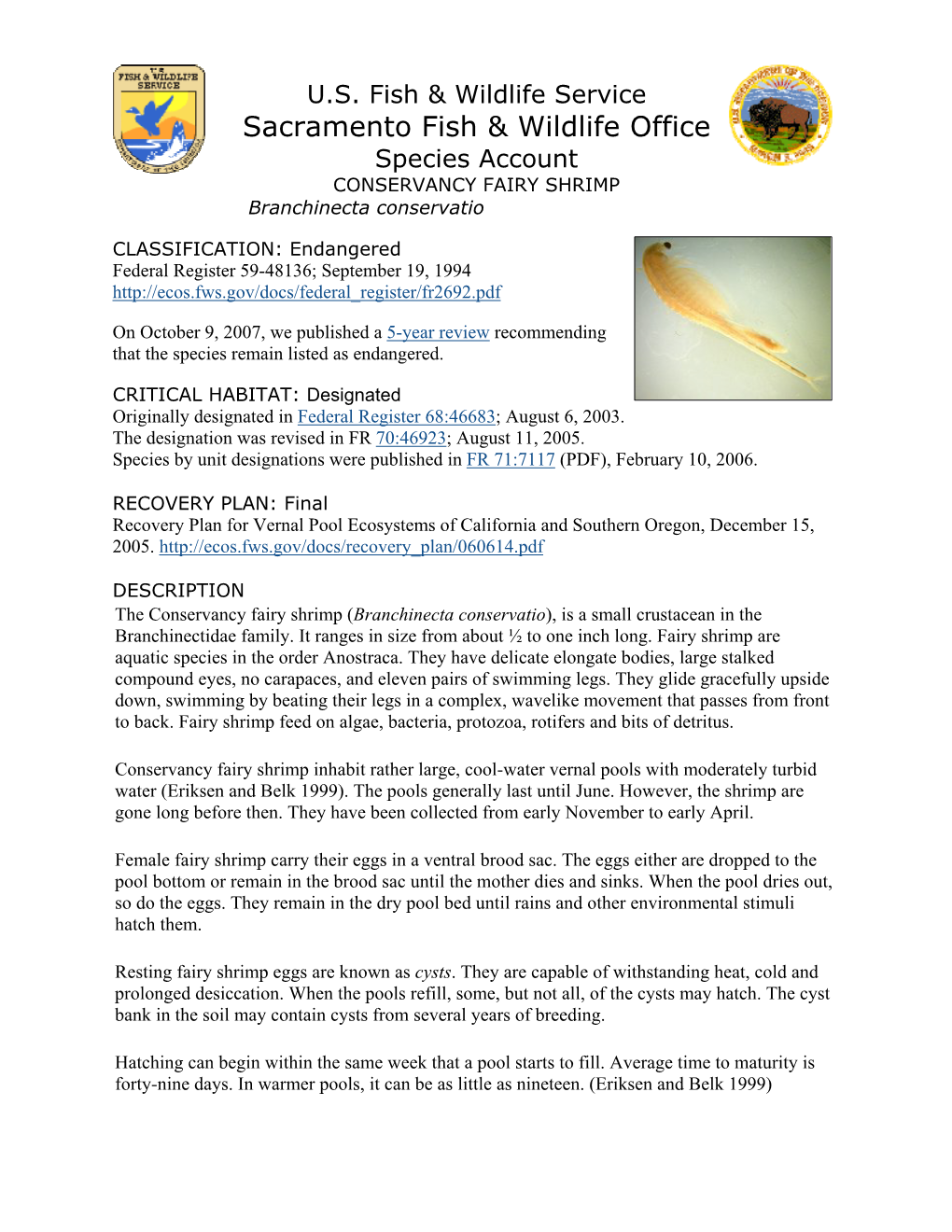 Species Account CONSERVANCY FAIRY SHRIMP Branchinecta Conservatio