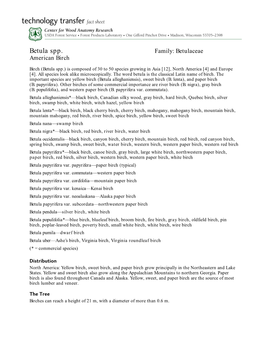 Betula Spp. Family: Betulaceae American Birch