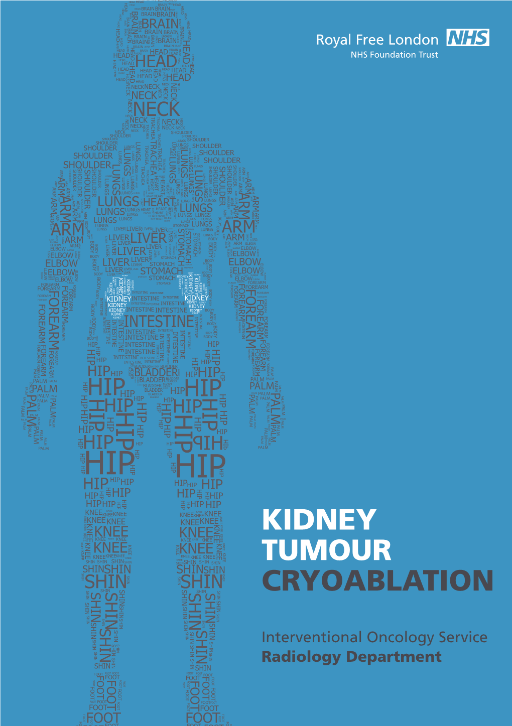 Kidney Tumour Cryoablation