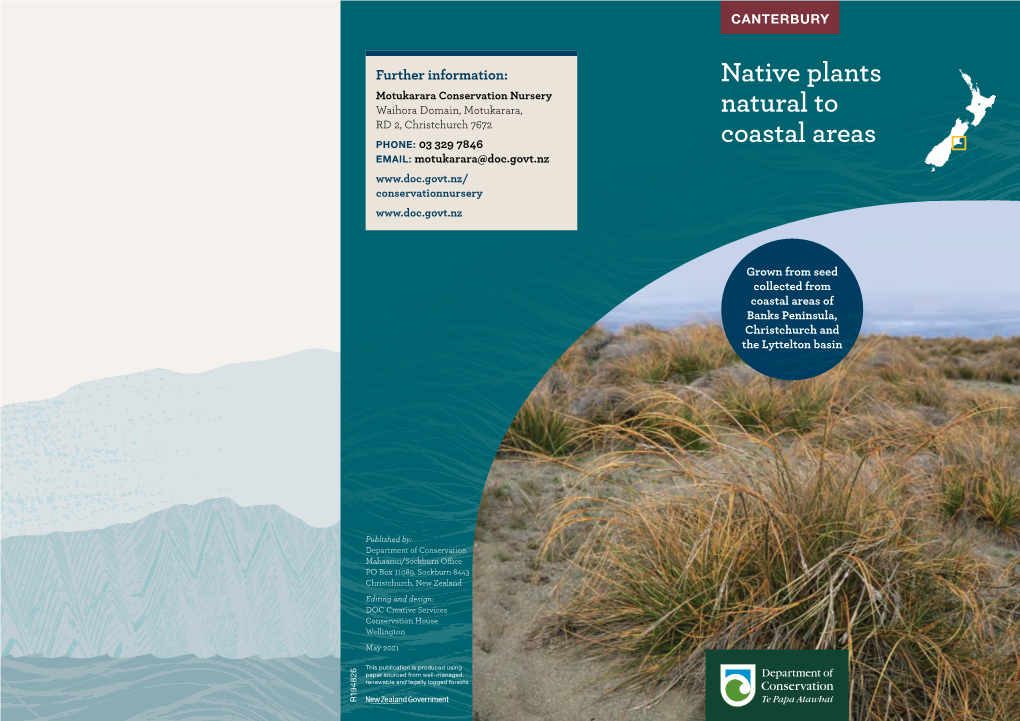 Native Plants Natural to Coastal Areas
