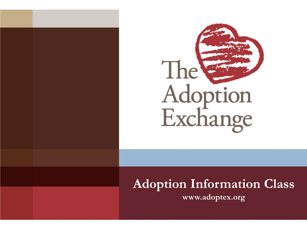 Adoption Information Class