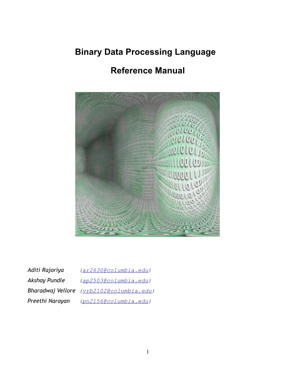 Binary Data Processing Language Reference Manual