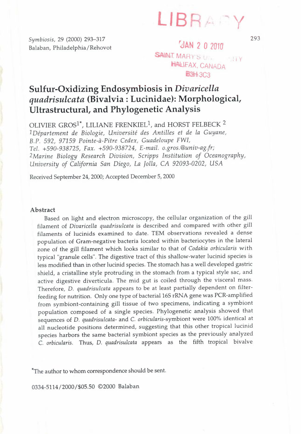 ~AN 2 0 20L0' Sulfur-Oxidizing Endosymbiosis in Divaricella Quadrisulcata (Bivalvia : Lucinidae): Morphological, Ultrastructural